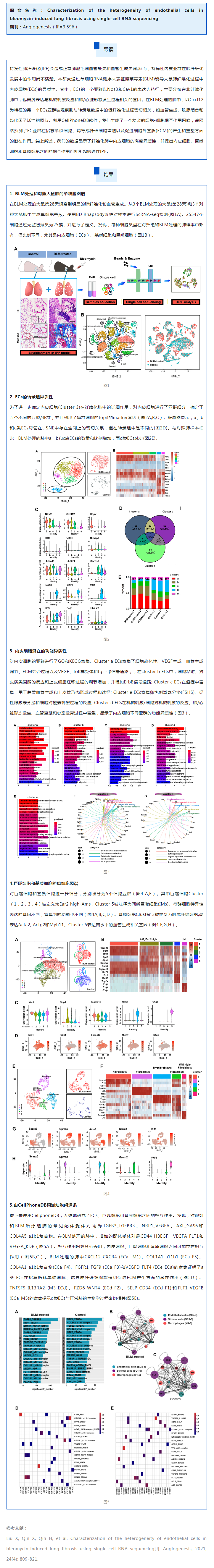 文獻(xiàn)解讀 | 單細(xì)胞 RNA 測序鑒定博萊霉素誘導(dǎo)的肺纖維化中內(nèi)皮細(xì)胞的異質(zhì)性
