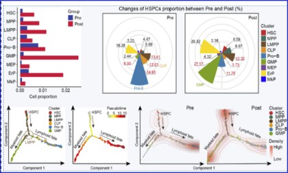 文獻(xiàn)分享 |Cell Discovery，劉兵 / 黃曉軍團(tuán)隊合作解析 G -CSF 誘導(dǎo)人骨髓造血淋髓偏倚和免疫低反應(yīng)性的潛在機(jī)制