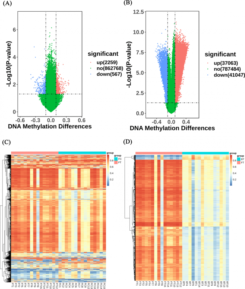 甲基化芯片篩選結(jié)果