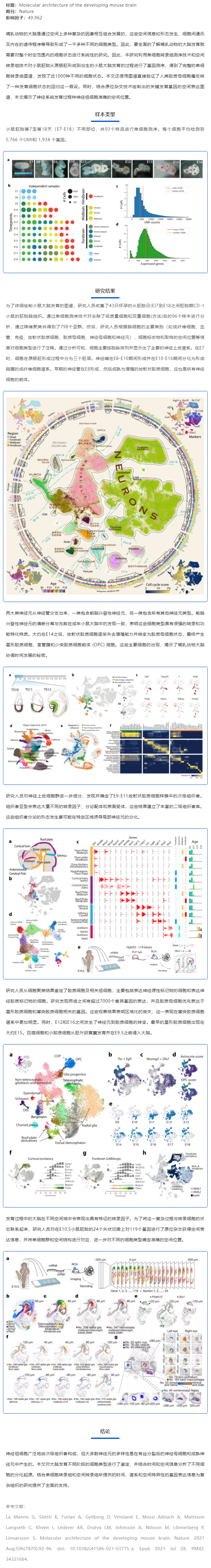 文獻(xiàn)分享_單細(xì)胞測序探究小鼠胚胎時期腦組織發(fā)育過程