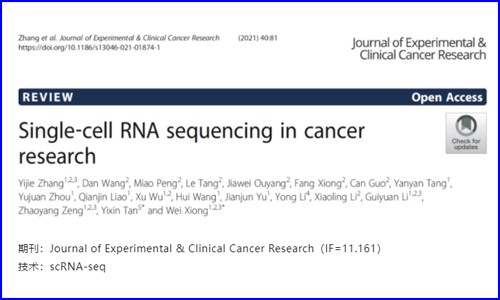 文獻(xiàn)解讀 | 單細(xì)胞測序在癌癥研究中的應(yīng)用