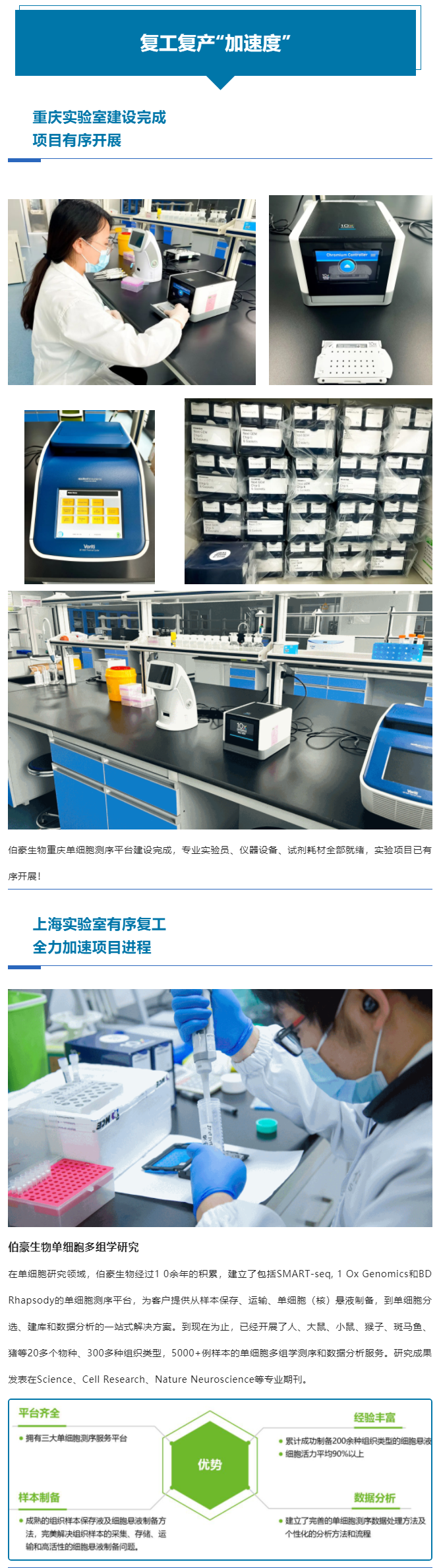 上海重慶齊頭并進(jìn)，全力以“復(fù)”跑出復(fù)工復(fù)產(chǎn)“加速度”