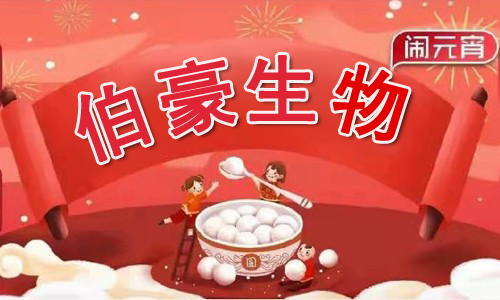 元宵節(jié)快樂 | 伯豪生物鬧元宵“職”等你來