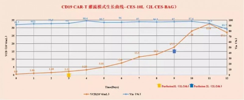 T 細胞在 MCMCulLymT-SFM10 中規(guī)?；囵B(yǎng)