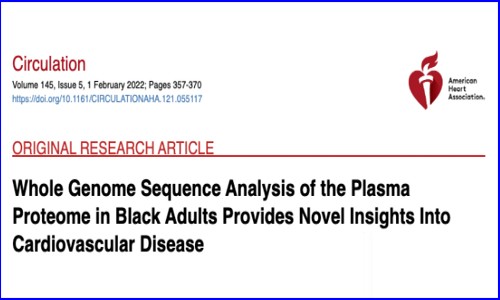 Circulation 干貨解讀 |Olink 助力非裔人群蛋白基因組深度研究為心血管疾病提供新視角