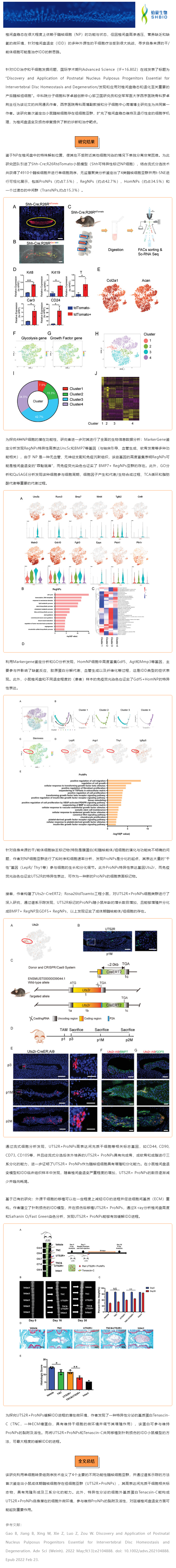 文獻(xiàn)解讀 | 鑒定和應(yīng)用髓核前體細(xì)胞治療椎間盤退變