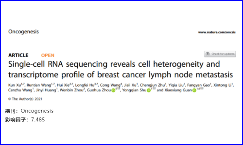 文獻(xiàn)解讀 | 單細(xì)胞測(cè)序揭示乳腺癌淋巴結(jié)轉(zhuǎn)移的細(xì)胞異質(zhì)性