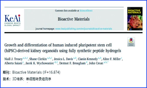 文獻(xiàn)解讀 | 全合成肽水凝膠培養(yǎng)的人誘導(dǎo)多能干細(xì)胞（hiPSC）來源的腎類器官的生長(zhǎng)和分化