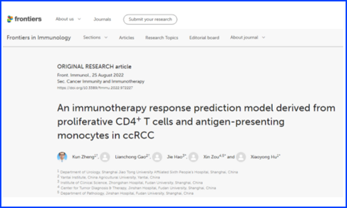 復(fù)旦大學(xué)鄒欣 / 郝潔團(tuán)隊(duì)和上海交通大學(xué)胡曉勇團(tuán)隊(duì)基于單細(xì)胞算法 scCODE 構(gòu)建精準(zhǔn)腎透明細(xì)胞癌免疫治療預(yù)測(cè)模型（AUC=93%）