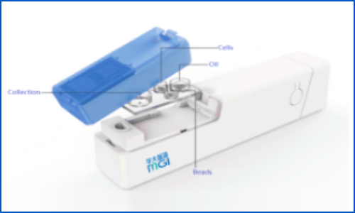 伯豪生物獲得 | 華大智造 DNBelab C 系列服務商認證，全力加速單細胞測序規(guī)模化研究
