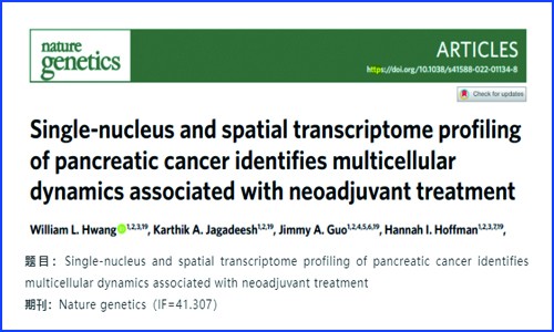 文獻(xiàn)解讀 | 胰腺癌的單細(xì)胞核測(cè)序和空間轉(zhuǎn)錄組分析識(shí)別與新輔助治療相關(guān)的多細(xì)胞動(dòng)力學(xué)
