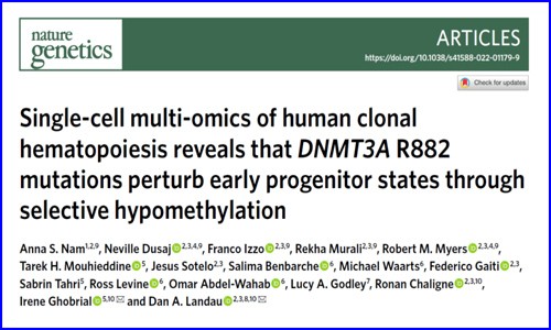 Nat Genet | 基于單細(xì)胞多組學(xué)技術(shù)解析 DNMT3A R882 突變在人類克隆造血中的影響