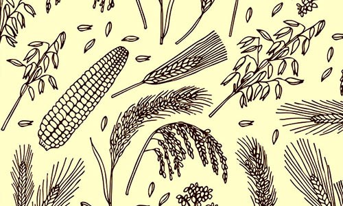 激勵(lì)計(jì)劃 | 農(nóng)學(xué)單細(xì)胞 & 空間研究——萬(wàn)元大獎(jiǎng)等你來(lái)！