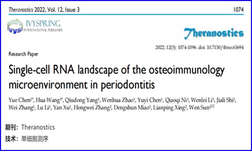文獻(xiàn)解讀 | 基于單細(xì)胞 RNA 測序觀察牙周炎骨免疫微環(huán)境