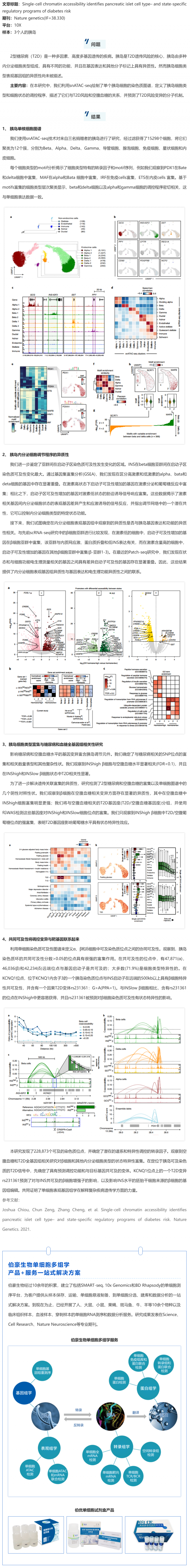 單細胞抽核_snATAC-seq 技術(shù)揭示糖尿病風(fēng)險相關(guān)的胰島特異性調(diào)控元件