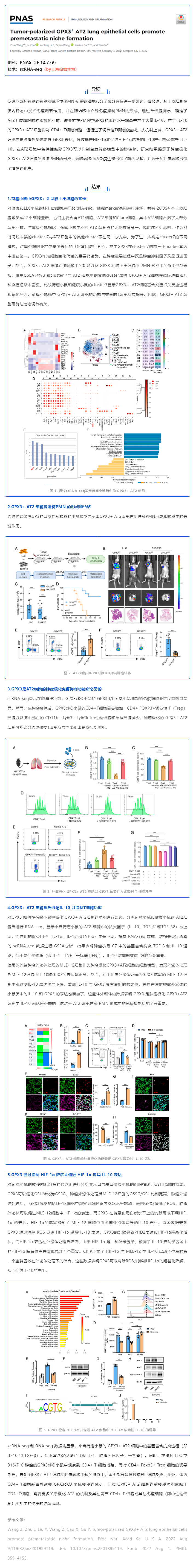 單細(xì)胞項(xiàng)目文章_腫瘤極化 GPX3+ AT2 肺上皮細(xì)胞促進(jìn)轉(zhuǎn)移前生態(tài)位形成