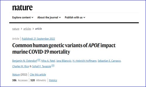 文獻(xiàn)解讀 |Nature 為什么有些人感染新冠后死亡風(fēng)險(xiǎn)高？研究揭示與 APOE 基因型有關(guān)！
