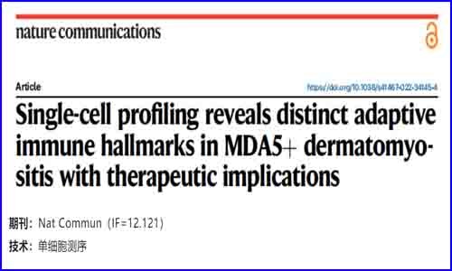 文獻(xiàn)解讀 | 單細(xì)胞分析揭示了 MDA5+ 皮肌炎的獨特適應(yīng)性免疫特征及其治療意義