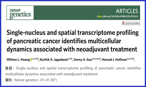 文獻(xiàn)解讀 | 胰腺癌的單核和空間轉(zhuǎn)錄組分析識別與新輔助治療相關(guān)的多細(xì)胞動力學(xué)