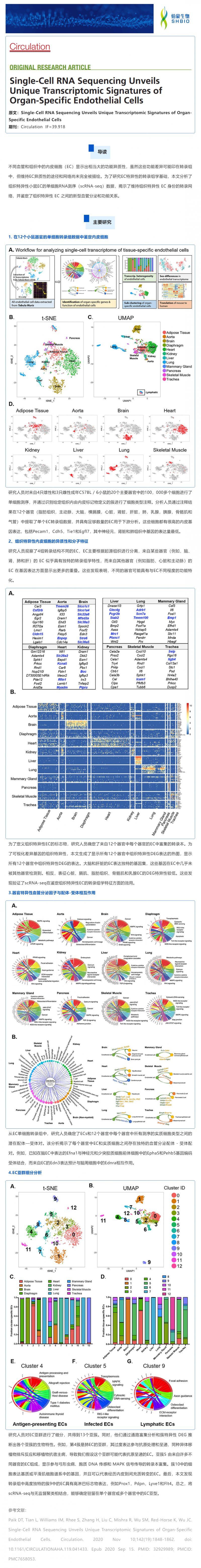 單細(xì)胞測序揭示器官特異性內(nèi)皮細(xì)胞的獨特轉(zhuǎn)錄組學(xué)特征