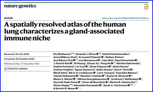 文獻(xiàn)解讀 |Nat Genet 發(fā)布迄今最全面的人類肺細(xì)胞空間圖譜，首次揭示腺體相關(guān)的免疫生態(tài)位