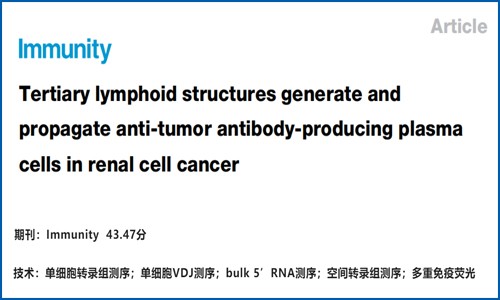 文獻(xiàn)解讀 | 腎透明細(xì)胞腫瘤三級(jí)淋巴結(jié)構(gòu)產(chǎn)生抗腫瘤活性的漿細(xì)胞并促進(jìn)其傳播