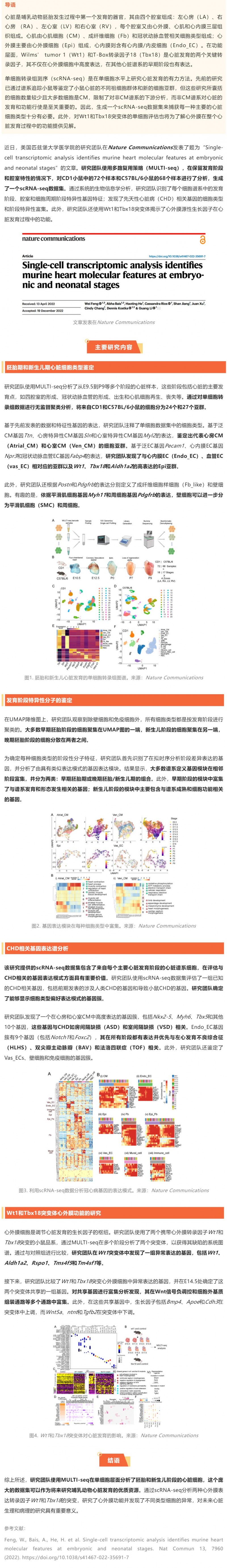2023-01-31-Nat-Commun 發(fā)表胚胎及新生兒期小鼠心臟單細(xì)胞轉(zhuǎn)錄組圖譜，揭示先天性心臟病相關(guān)基因的細(xì)胞類型及