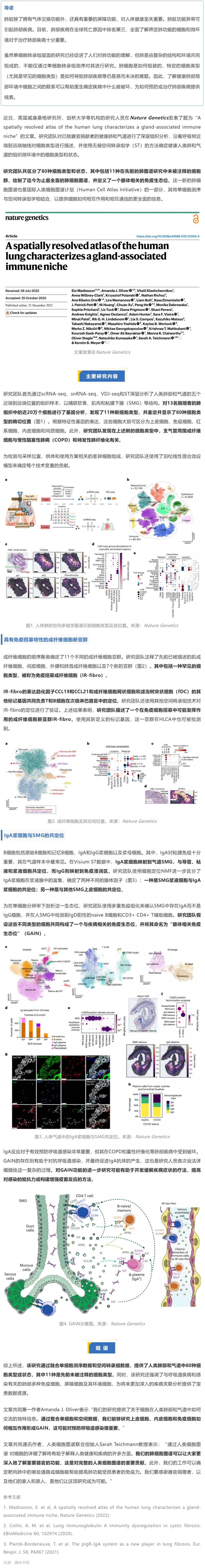 Nat Genet 發(fā)布迄今最全面的人類肺細(xì)胞空間圖譜，首次揭示腺體相關(guān)的免疫生態(tài)位