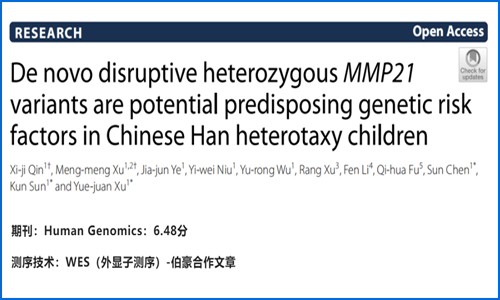 項(xiàng)目文章 |MMP21 基因雜合子變異與中國漢族兒童可遺傳內(nèi)臟異位綜合征相關(guān)