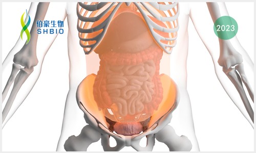 項(xiàng)目文章 | Olink（IF 27.973）基于潑尼松聯(lián)合 mTOR 抑制劑西羅莫司治療腹膜后纖維化的臨床研究