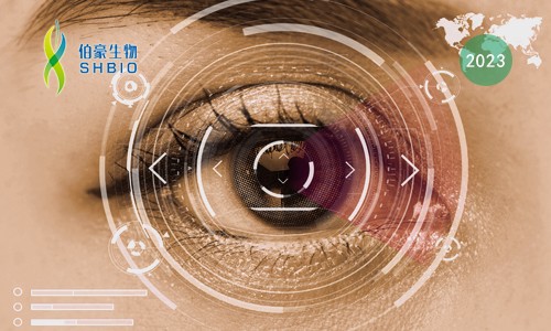 空轉(zhuǎn)寶典 | 新鮮樣本：10X Genomics V1 與 V2 該如何抉擇？