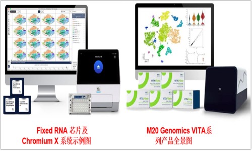 用證據(jù)說話 | 實(shí)測 FFPE 樣本進(jìn)行單細(xì)胞測序狠好使！