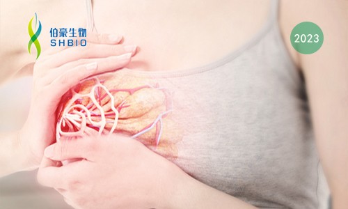 文獻(xiàn)解讀 | 結(jié)合單細(xì)胞和空間轉(zhuǎn)錄組揭示乳腺癌傳播過(guò)程中的代謝演變