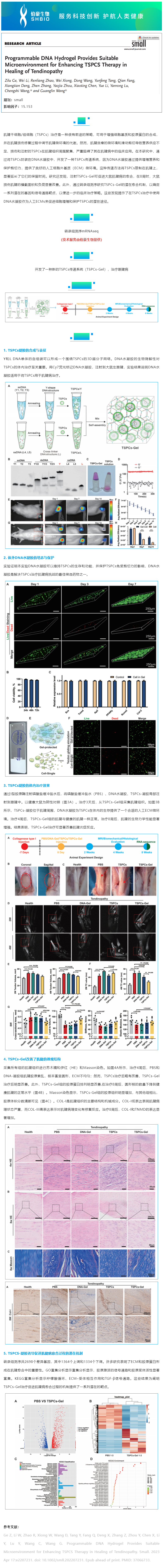 06-19 mRNAseq 項(xiàng)目文章_ 可編程 DNA 水凝膠為增強(qiáng) TSPCs 治療肌腱病的愈合提供了合適的微環(huán)境副本