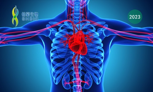 文獻(xiàn)解讀 | 缺血性心肌病組織進(jìn)行單細(xì)胞核測(cè)序揭示了終末期心力衰竭轉(zhuǎn)錄圖譜