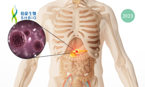 文獻(xiàn)解讀 | 單細(xì)胞測(cè)序揭示了在人類(lèi)慢性胰腺炎中具有 CCR6-CCL20 串?dāng)_的獨(dú)特免疫微環(huán)
