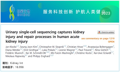 文獻(xiàn)解讀 | 尿 scRNA-seq 捕獲人類(lèi)急性腎損傷的腎損傷和修復(fù)過(guò)程