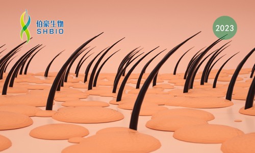 mRNA-seq 項(xiàng)目文章 | 鉬酸鈣納米顆粒 3D 生物打印于毛發(fā)再生的研究