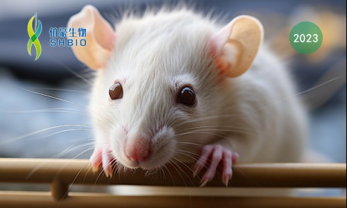 文獻(xiàn)解讀 | 單細(xì)胞 RNA 測(cè)序揭示了小鼠脊髓小膠質(zhì)細(xì)胞對(duì)周圍神經(jīng)損傷的時(shí)間和性別特異性反應(yīng)，并將 ApoE 與慢性疼痛聯(lián)系起來