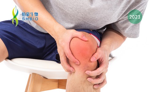 時(shí)空組學(xué)項(xiàng)目文章 | 時(shí)空組學(xué)技術(shù)助力發(fā)現(xiàn)類風(fēng)濕關(guān)節(jié)炎疾病治療新靶點(diǎn)