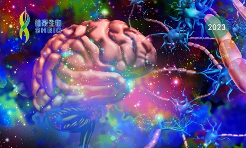 里程碑 | Science 系列 21 篇論文齊發(fā)，共繪最新最全“腦細(xì)胞圖譜”