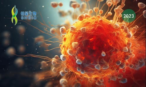 文獻(xiàn)解讀 | 血管周圍的三級(jí)淋巴樣結(jié)構(gòu)中干細(xì)胞樣 CD4+ T 細(xì)胞在自身免疫性血管炎中的作用