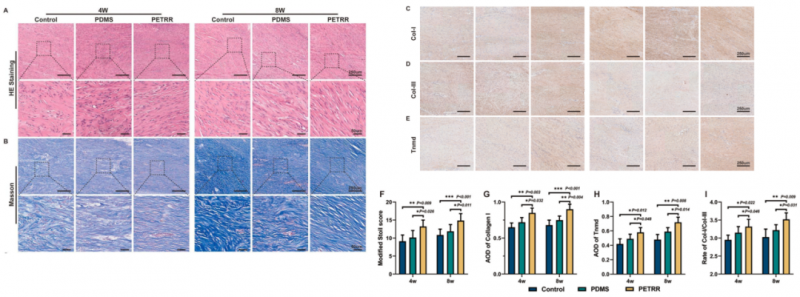 mRNA-seq 項目文章分析圖 6