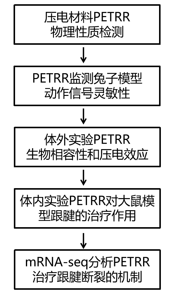  伯豪生物研究設(shè)計 mRNA-seq 項目文章 