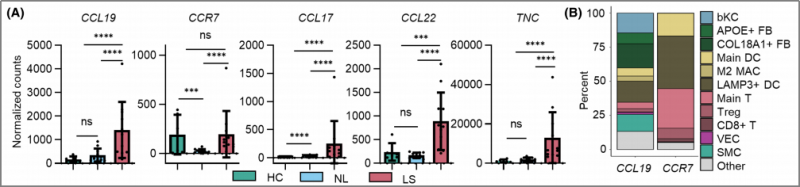 空間轉(zhuǎn)錄組測(cè)序 + 單細(xì)胞測(cè)序 + 蛋白組學(xué)測(cè)序 SCI 文章圖 2