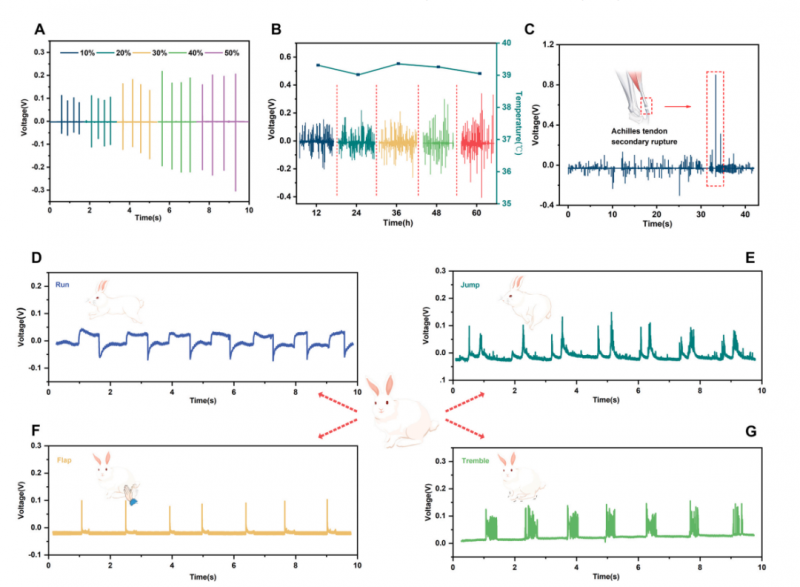 mRNA-seq 項目文章分析圖 3