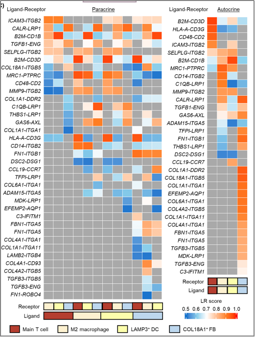 空間轉(zhuǎn)錄組測(cè)序 + 單細(xì)胞測(cè)序 + 蛋白組學(xué)測(cè)序 SCI 文章圖 5