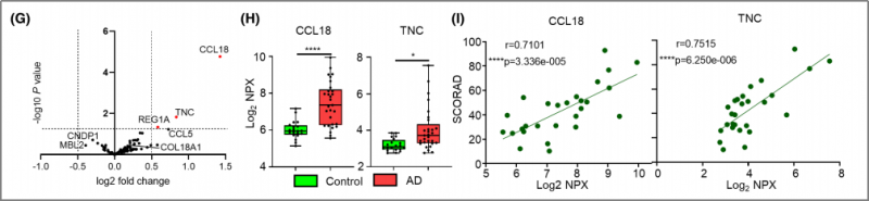 空間轉(zhuǎn)錄組測(cè)序 + 單細(xì)胞測(cè)序 + 蛋白組學(xué)測(cè)序 SCI 文章圖 4