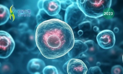 文獻(xiàn)解讀 | NK 細(xì)胞的泛癌單細(xì)胞全景圖譜