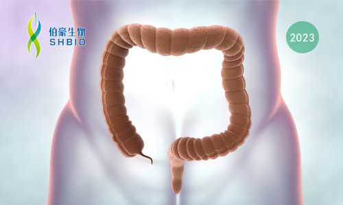 mRNA-seq 項目文章 | EIF3f 通過增強結直腸癌去泛素化活性介導 SGOC 通路重編程